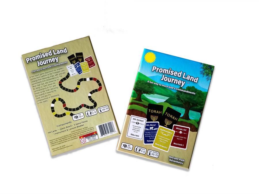Promised Land Journey Bible Game Board & Cards